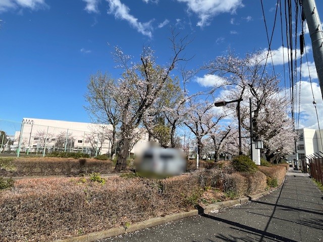 undefined - 2026-04-02T150317.810